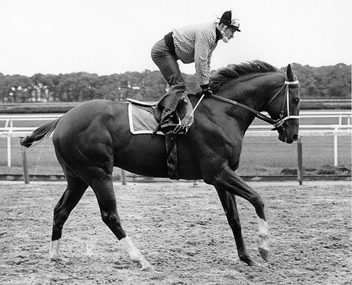 Secretariat  Morning Canter  Ron Turcotte