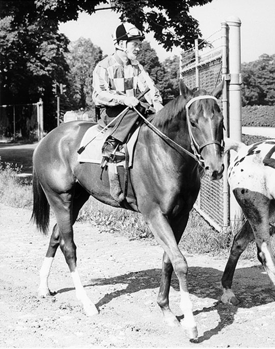 Secretariat  Morning Canter  Ron Turcotte