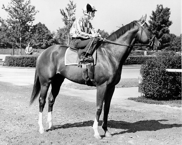 Secretariat  Morning Canter  Ron Turcotte