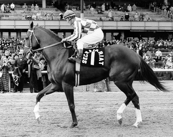 Secretariat  Retirement