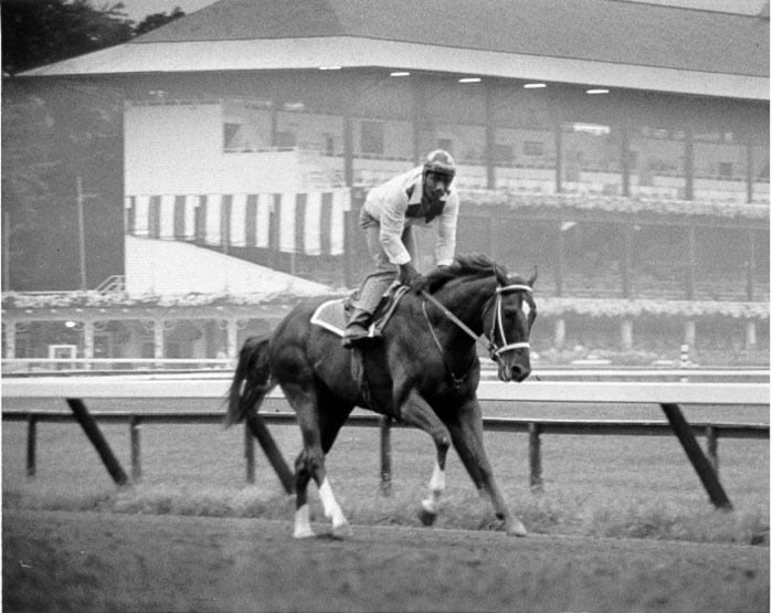 Secretariat  Saratoga Workout 