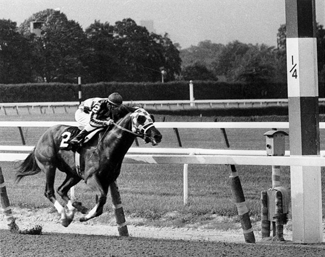 Secretariat  The Belmont Stretch Drive