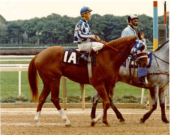 Secretariat  The Champagne Stakes  Start