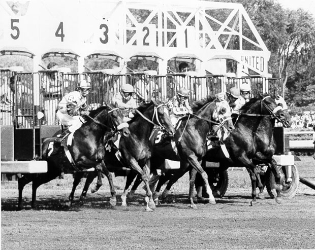 Secretariat  The Whitney Start Ron Turcotte