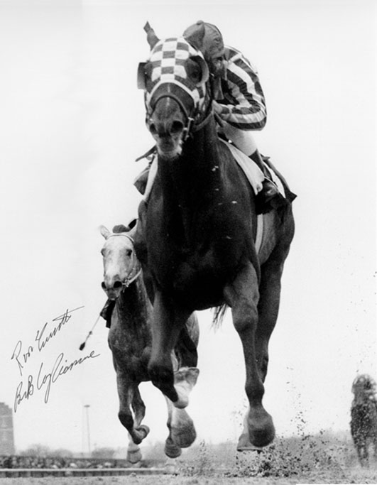 Secretariat Gotham Victory