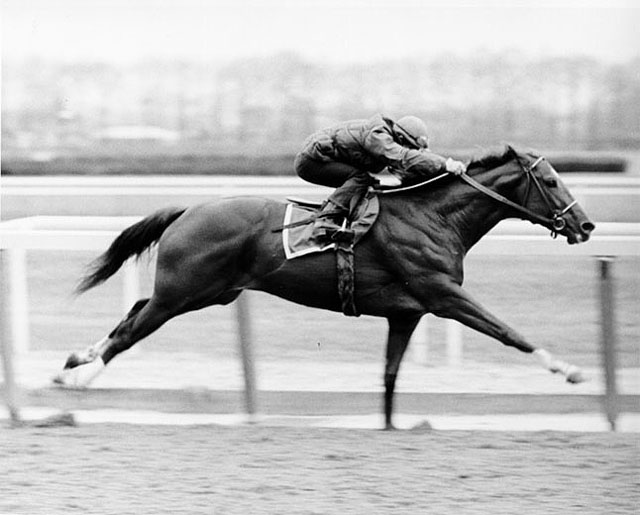 Secretariat Morning Prep The Gotham - Ron Turcotte