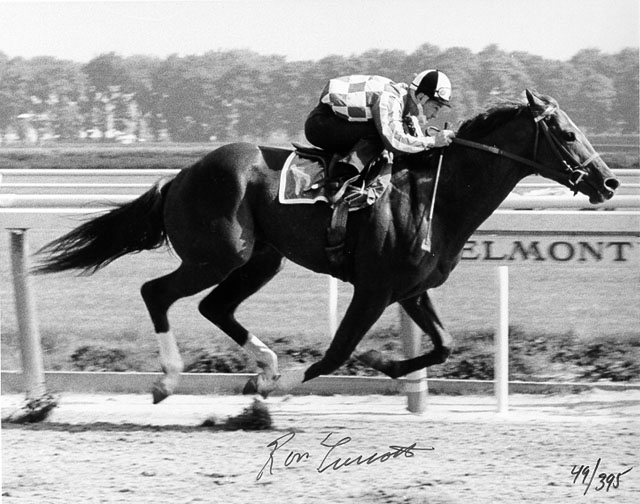 Secretariat Morning Workout